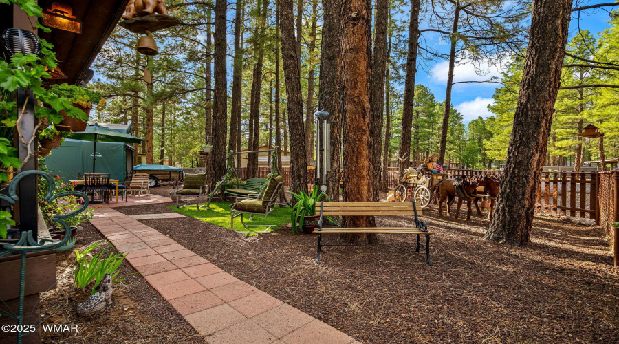 Front yard