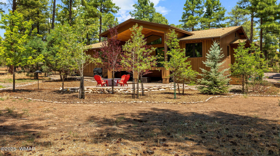 Backyard & Back of Home