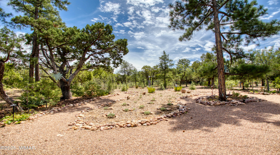 Paxmanphoto_PAX_8113