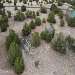 DJI_0107