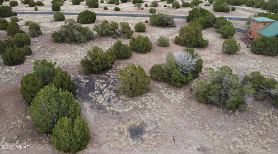 DJI_0107