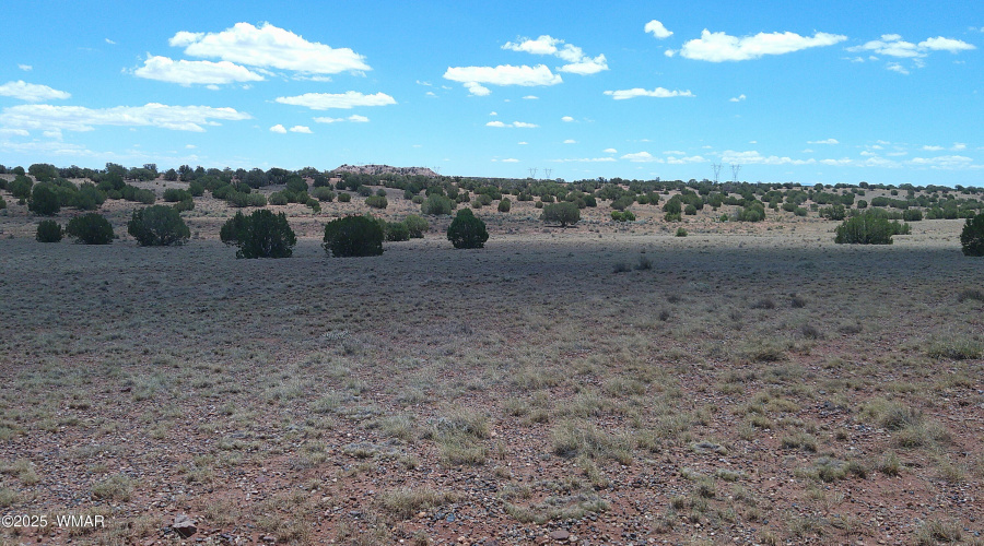 DSCF0006
