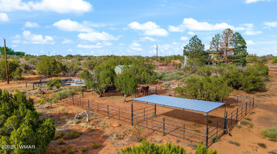 Horse Amenities
