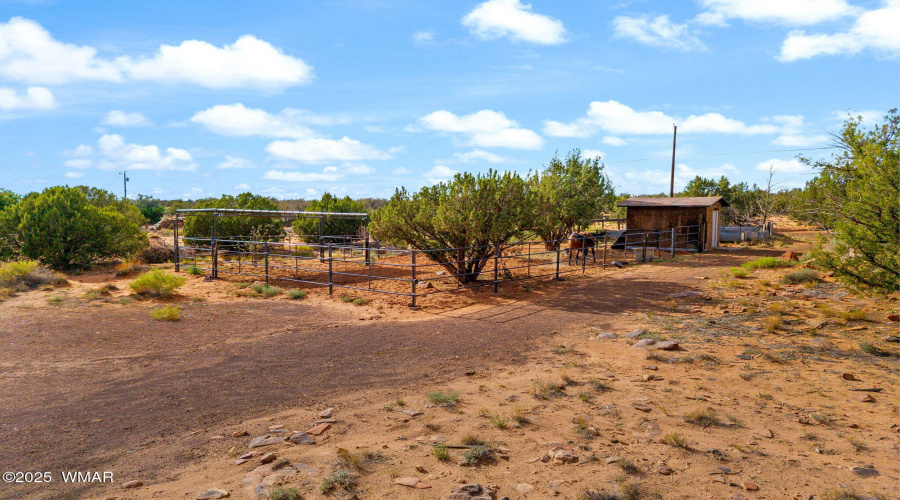 Horse Amenities