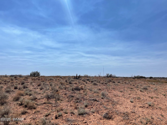 Highway 77, Snowflake