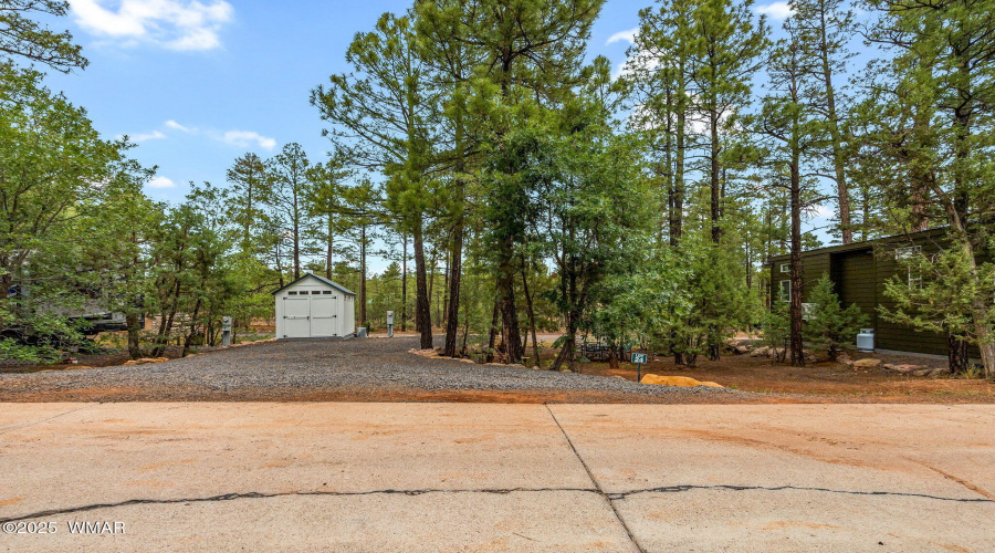 3750MuleSkinnerLoop-ShowLow-AZ-1