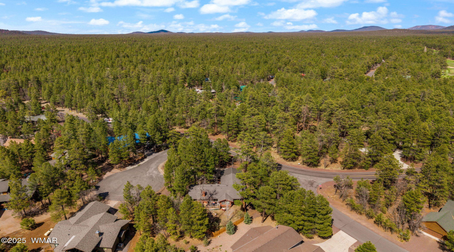 6229TontoTrail-Pinetop-AZ-11