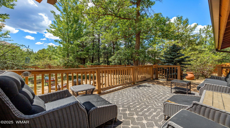 6229TontoTrail-PinetopAZ-19