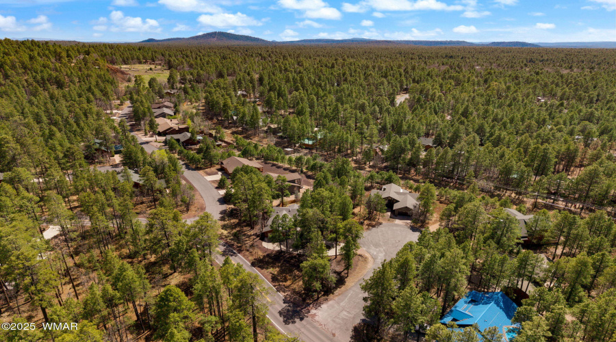 6229TontoTrail-Pinetop-AZ-9