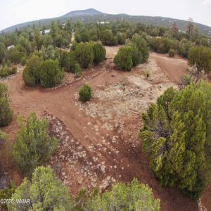 Overhead Drone