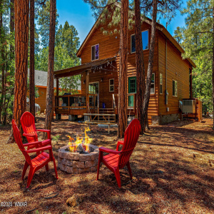 Firepit in Backyard