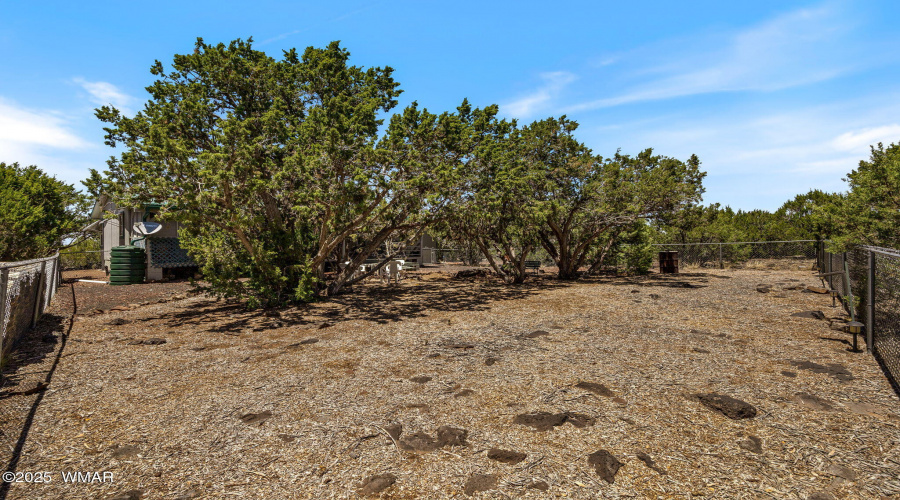 9107ChimisaRanchRd-ShowLow-AZ-24