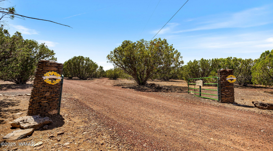 9107ChimisaRanchRd-ShowLow-AZ-45