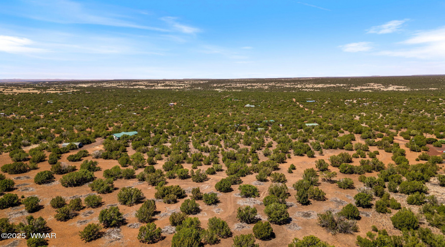 9107ChimisaRanchRd-ShowLow-AZ-46