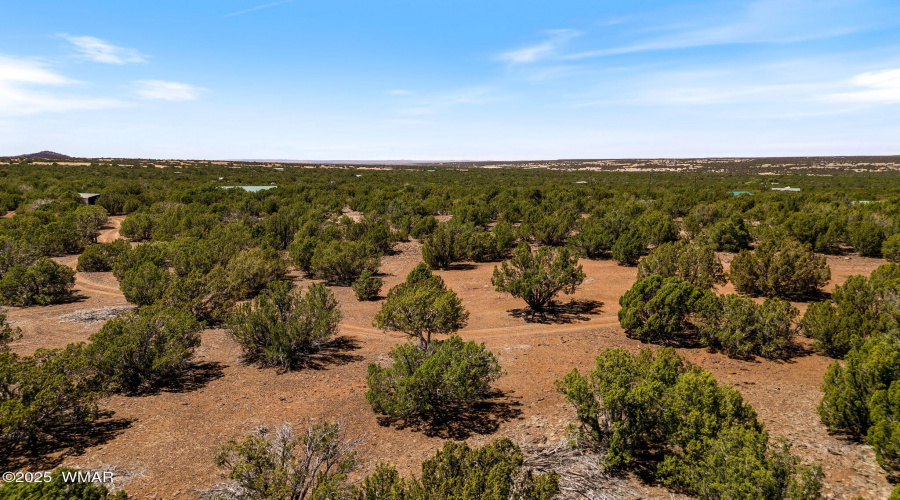 9107ChimisaRanchRd-ShowLow-AZ-54