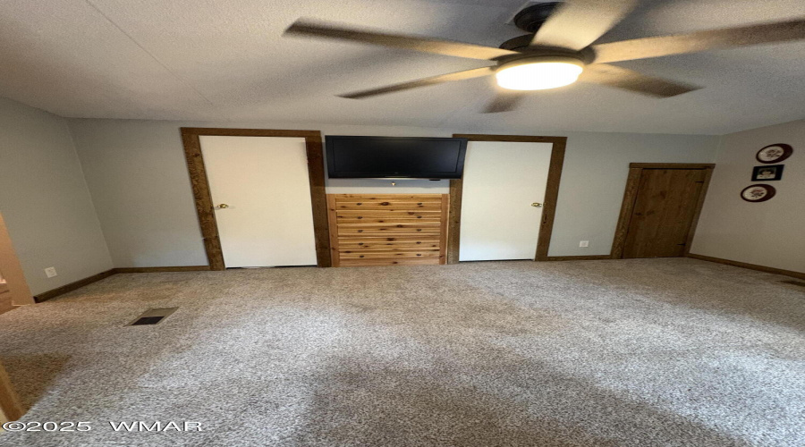 Closet Doors 1