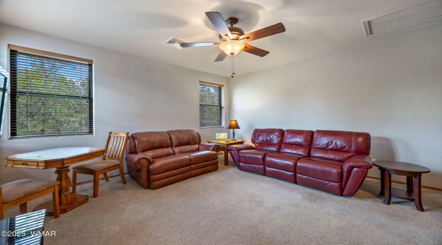 1031SSpireaLn-ShowLow-AZ-19