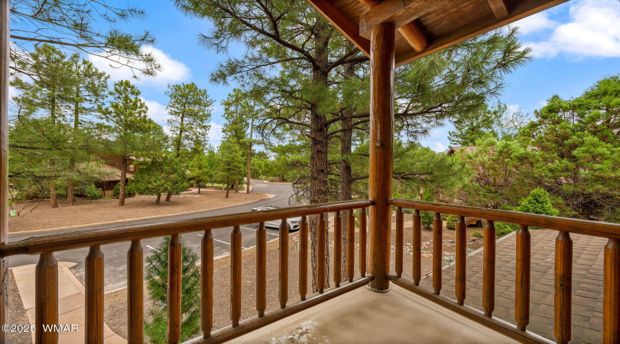 1031SSpireaLn-ShowLow-AZ-23