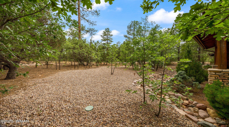 1031SSpireaLn-ShowLow-AZ-28