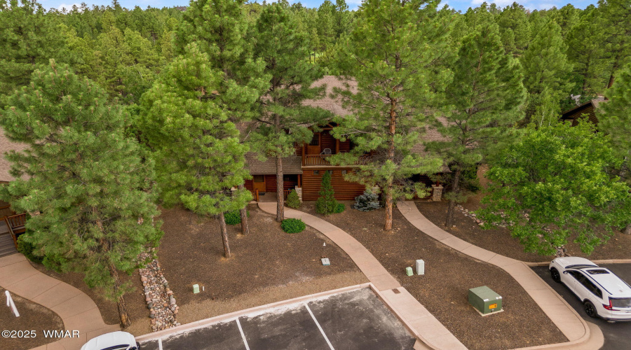 1031SSpireaLn-ShowLow-AZ-30