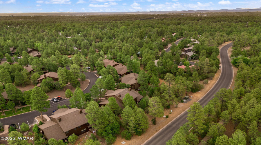 1031SSpireaLn-ShowLow-AZ-32
