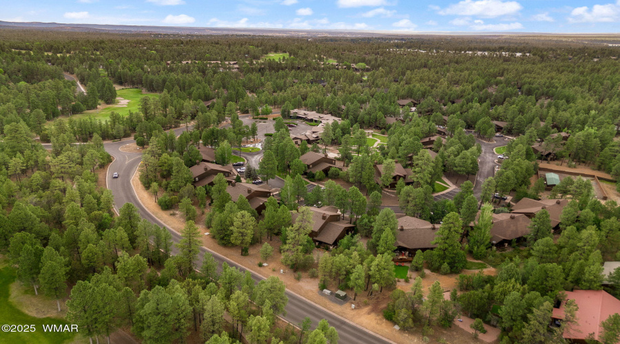 1031SSpireaLn-ShowLow-AZ-33
