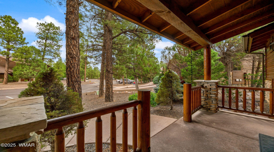 1031SSpireaLn-ShowLow-AZ-3