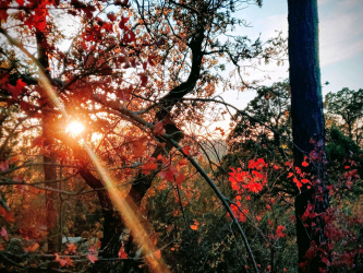 IMG_20201106_165845-EFFECTS