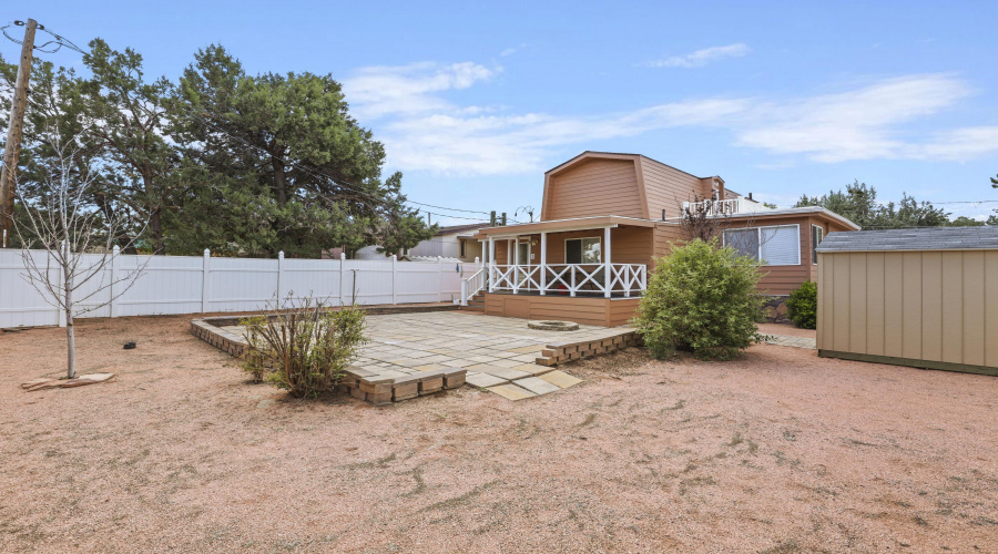 Back Yard (3)