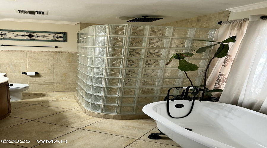 Master bathroom