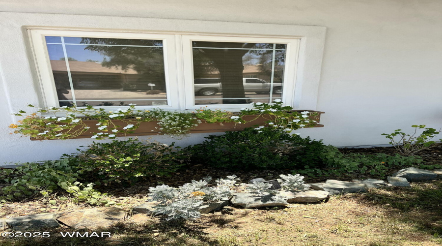 Window planters