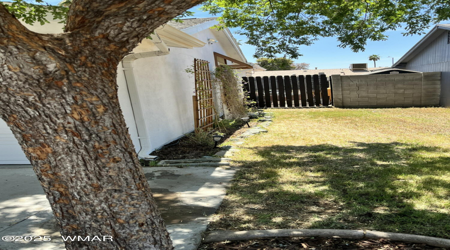Front side yard