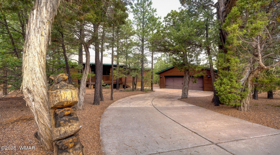 Front Driveway