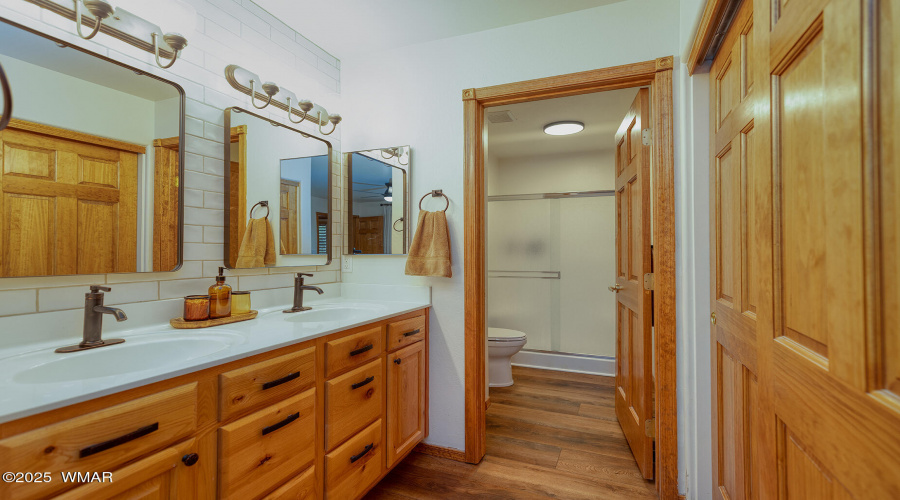 Primary Vanity to Shower