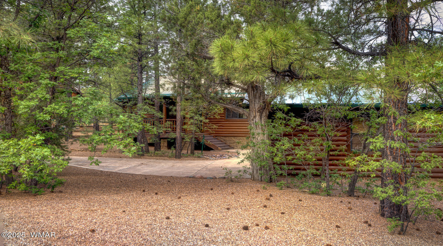 Trees & Privacy