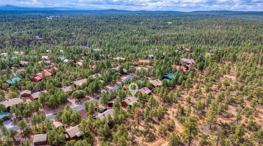 Drone Trees