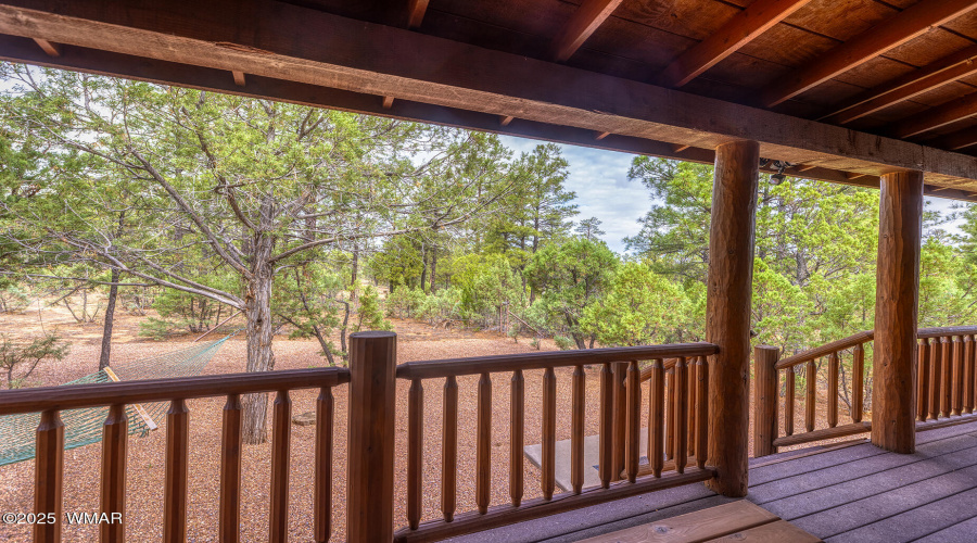 Back Porch View