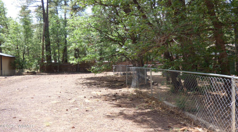 P1350572