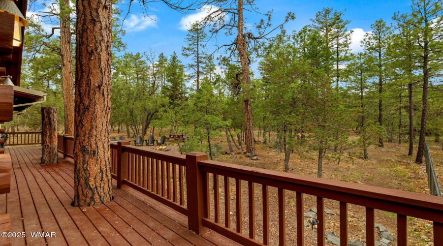 2382SHartLakeLn-Pinetop-Lakeside-AZ-34
