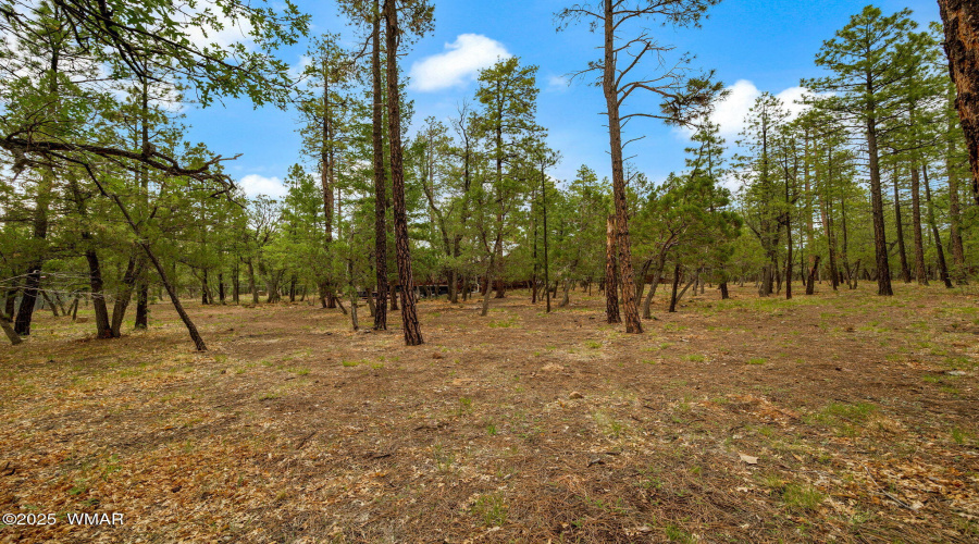 2382SHartLakeLn-Pinetop-Lakeside-AZ-41