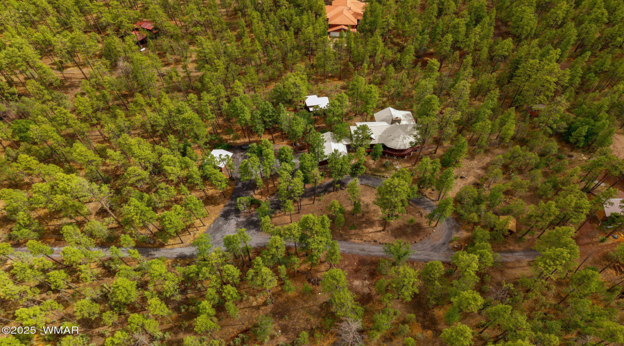 2382SHartLakeLn-Pinetop-Lakeside-AZ-53
