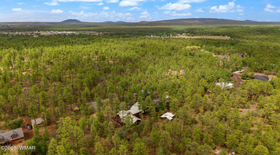 2382SHartLakeLn-Pinetop-Lakeside-AZ-56