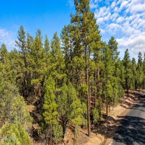Beautiful trees lot