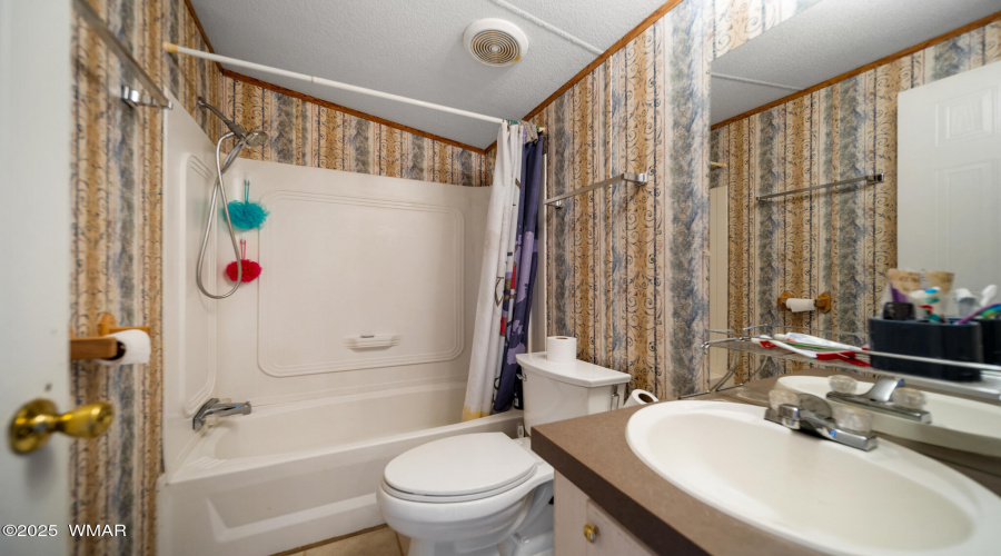 BATHROOM SHOWER/TUB COMBO