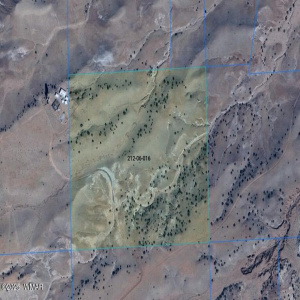 Satellite View