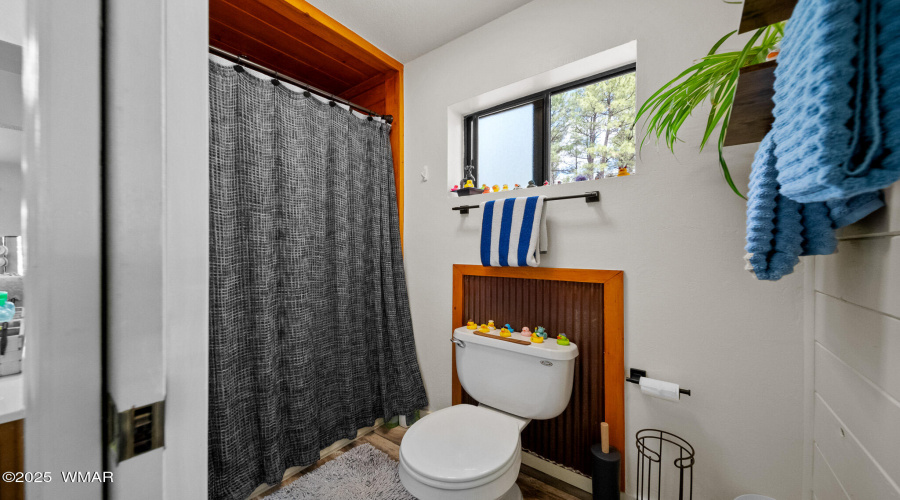 Master Bathroom and Shower