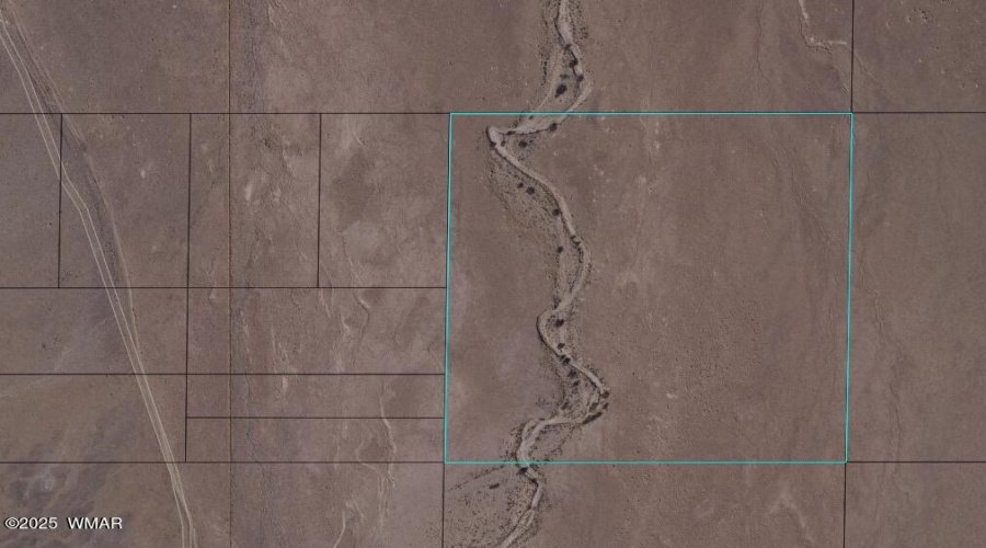 Satellite View