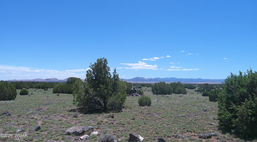 DSCF0158