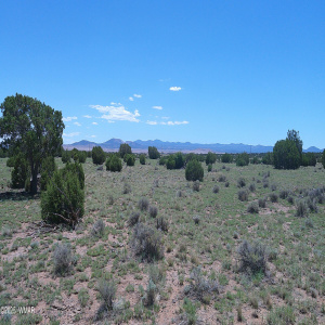 DSCF0161