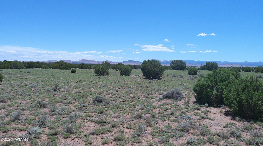 DSCF0167